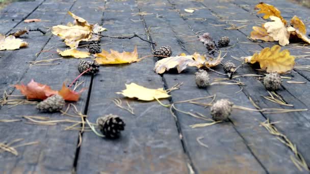 A régi fapadló padló alá fenyőtoboz, őszi sárga levelek juhar és tölgy. A szél elfújja a leveleket, őszi levél hullik.Lassú mozgás. — Stock videók