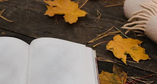 Cuaderno blanco en blanco y pluma sobre un fondo oscuro con una bufanda, cuadros y una taza, hojas amarillas otoñales y conos de pino alrededor. Vista desde arriba. acostado, desenfocado. Copiar espacio — Foto de Stock