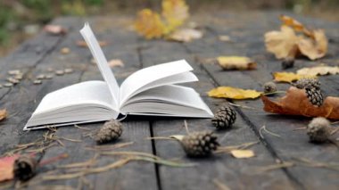 Eski ahşap bir kitap, düşmüş çam kozalakları, sonbahar sarı akçaağaç yaprakları ve meşe. Rüzgar yaprakları uçurur ve sayfaları hareket ettirir. Ağır çekim. Yumuşak, seçici odak.
