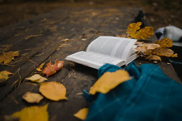 Sobre una vieja mesa de madera en un parque de otoño se encuentra un libro abierto, una tela a cuadros azul, una guirnalda con luces, una taza de hojas amarillas y conos sos. Vista superior, borrosa. Otoño cálido humor oscuro, enfoque suave . — Foto de Stock