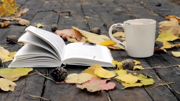 Sul Vecchio legno sono un libro, una tazza di tè-caffè, foglie cadute e coni. Il vento soffia via le foglie e muove le pagine. Al rallentatore. Focus morbido e selettivo — Video Stock