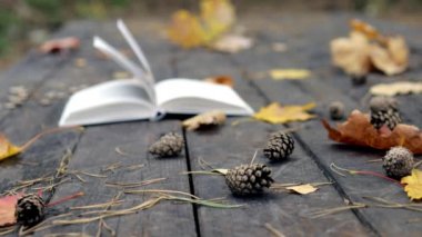 Eski ahşap bir kitap, düşmüş çam kozalakları, sonbahar sarı akçaağaç yaprakları ve meşe. Rüzgar yaprakları uçurur ve sayfaları hareket ettirir. Ağır çekim. Yumuşak, seçici odak.