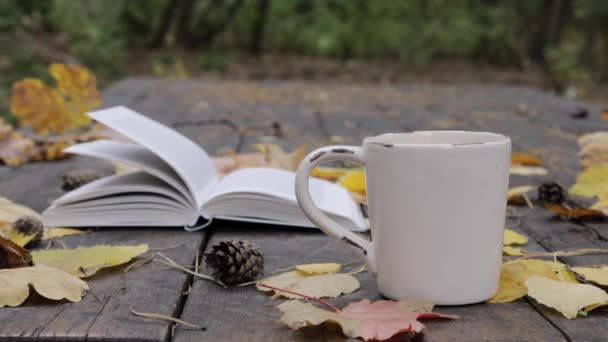 Eski ahşap üzerinde bir kitap, bir fincan çay-kahve, düşmüş yapraklar ve koniler var. Rüzgar yaprakları uçurur ve sayfaları hareket ettirir. Ağır çekim. Yumuşak, seçici odak — Stok video