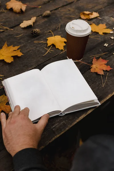 Macho hembra lee un libro en otoño parque bebe café para llevar. Primer plano sobre el hombro, borroso. vista superior, ahorrar espacio. He visto manos. En un estilo retro oscuro — Foto de Stock