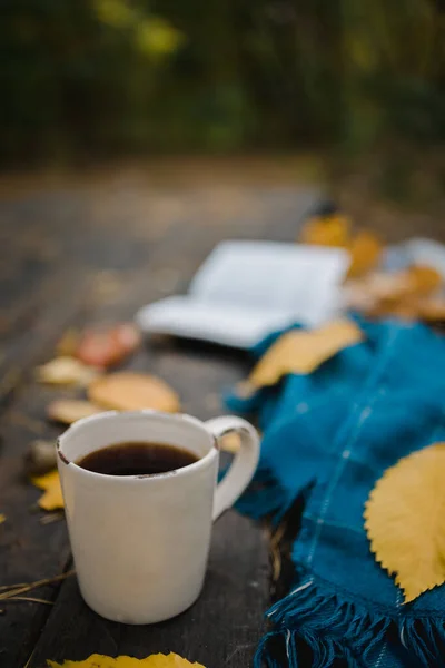 Sobre una vieja mesa de madera en un parque de otoño se encuentra un libro abierto, una tela a cuadros azul, una guirnalda con luces, una taza de hojas amarillas y conos sos. Vista superior, borrosa. Otoño cálido humor oscuro, enfoque suave . — Foto de Stock