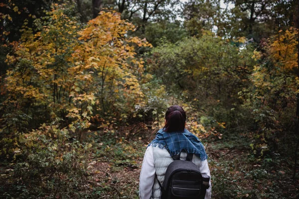 Femme de randonnée à la forêt d'automne. Randonneur debout dans les bois pendant la saison d'automne. Profitez de la randonnée dans la nature à la journée ensoleillée — Photo