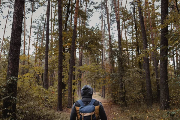 Un jeune homme avec un sac à dos dans le chapeau, voyageur, hipster debout dans les bois, randonnée, forêt, voyage. — Photo