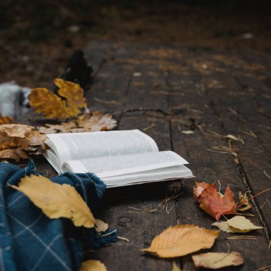 Sonbahar parkındaki eski ahşap bir masanın üzerinde açık bir kitap, mavi bir ekose, ışıklı bir çelenk, bir fincan sarı yaprak ve sos konisi bulunur. Üst manzara, bulanık. Sonbahar ılık karanlık ruh hali, yumuşak odaklanma.