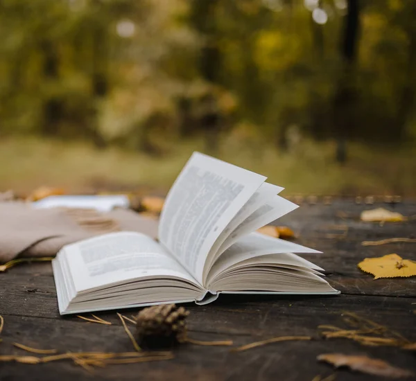 Sobre una vieja mesa de madera en un parque de otoño se encuentra un libro abierto, una manta a cuadros, una guirnalda con luces, una taza de hojas amarillas y conos sos. Vista superior, borrosa. Otoño cálido humor oscuro, enfoque suave . — Foto de Stock