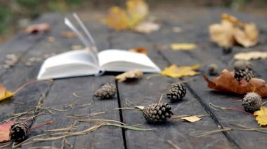Eski ahşap bir kitap, düşmüş çam kozalakları, sonbahar sarı akçaağaç yaprakları ve meşe. Rüzgar yaprakları uçurur ve sayfaları hareket ettirir. Ağır çekim. Yumuşak, seçici odak.