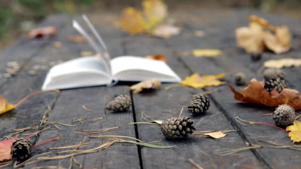 在古老的木头上有一本书，倒下的松果，秋天的枫树和橡木黄叶。 风吹走了树叶,把书页挪开了. 慢动作 软的、有选择的重点. — 图库视频影像