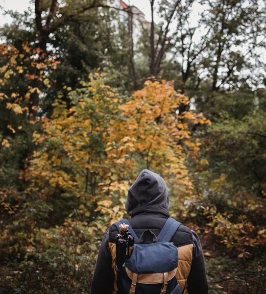 Un jeune homme avec un sac à dos dans le chapeau, voyageur, hipster debout dans les bois, randonnée, forêt, voyage. — Photo