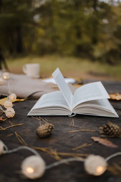 Sur une vieille table en bois dans un parc d'automne se trouve un livre ouvert, un plaid, une guirlande avec des lumières, une tasse de feuilles jaunes et des cônes de sos. Vue de dessus, floue. Automne ambiance sombre chaude, mise au point douce . — Photo