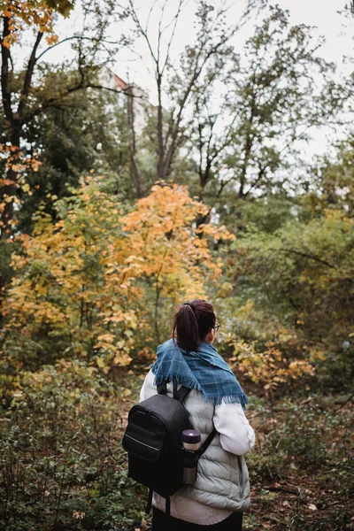 Femme de randonnée à la forêt d'automne. Randonneur debout dans les bois pendant la saison d'automne. Profitez de la randonnée dans la nature à la journée ensoleillée — Photo