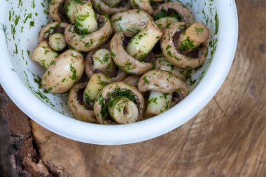 Bir kasede çiğ mantar şampiyonları salamurada otlarla birlikte, dereotlu ve sade doğal bir şekilde. Yukarıdan görüntüle
