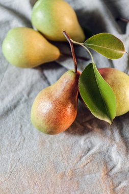 Olgun armutlar sade bir masa örtüsüne saçılmış. Basit köy hayatı ve yiyeceği. Üst görünüm, alanı kopyala