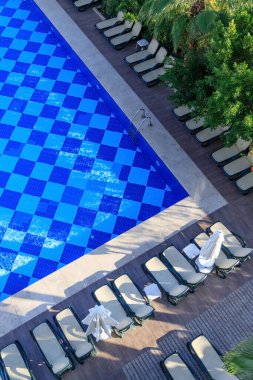 Türkiye 'nin Alanya kentindeki bir tatil beldesindeki yemyeşil palmiyeler ve çalılar arasında havuzun en üst manzarası, güneş pansiyonları ve şemsiyeler