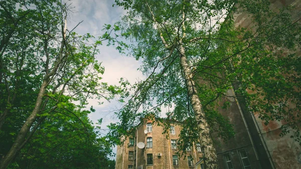 Vyborg street, eski Finlandiya evde Vyborg şehir. Vyborg, Rusya 18 2018 olabilir