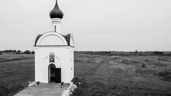 Monastery Tree Pskov — Stock Photo, Image