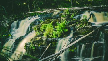 Yeşil orman küçük şelale