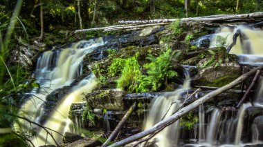 Yeşil orman küçük şelale