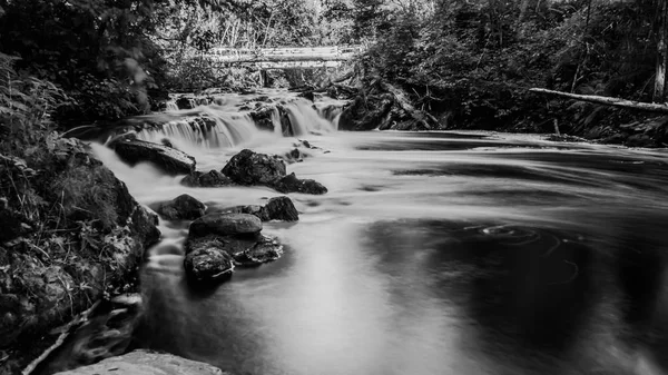 Kleiner Wasserfall Grünen Wald — Stockfoto