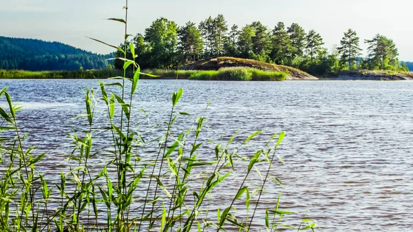 Karelya Ladoga Gölü