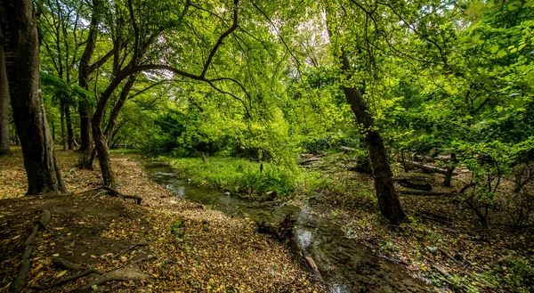 Brücke Über Unruhige Gewässer Wald Wildwasserströme Fließen Unter Der Brücke — Stockfoto