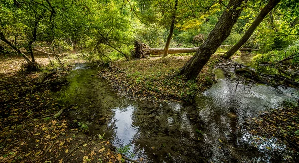 Brücke Über Unruhige Gewässer Wald Wildwasserströme Fließen Unter Der Brücke — Stockfoto