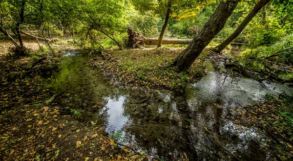 Ponte Acque Agitate Nella Foresta Rapide Acqua Bianca Scorrono Sotto — Foto Stock