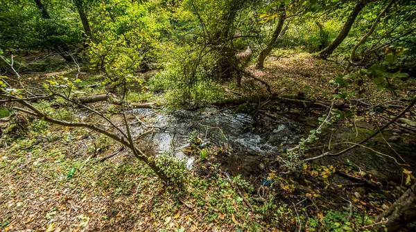 Ponte Sobre Águas Turbulentas Floresta Corredeiras Água Branca Fluem Sob — Fotografia de Stock