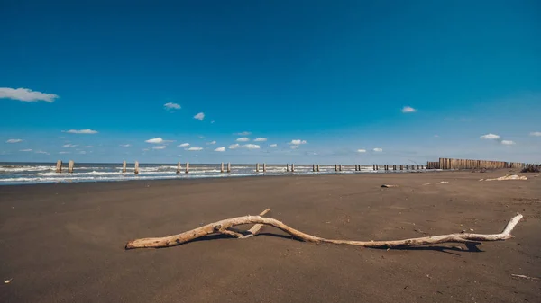 ビーチ ビーチ上にひっかかり 月上旬に青い空の下でカスピ海に植物のビューを閉じる — ストック写真