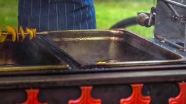 Ahşap çubuk üzerinde sarmal şeklinde patates kızartması. Altın rengi metal tepsi üzerinde piknik sırasında yalan kadar patates kızarmış. Patates chipsy take-away görüntü
