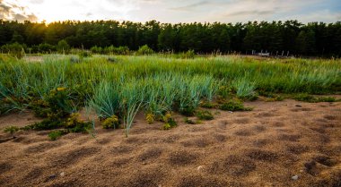 Körfezde kumlu plaj ve günbatımı