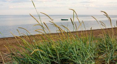 Körfezde kumlu plaj ve günbatımı