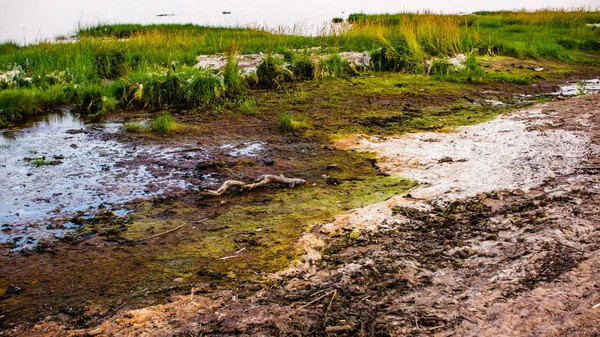 Písečná Pláž Západ Slunce Zálivu — Stock fotografie