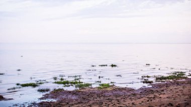 Gökyüzü, körfezdeki gün batımı sırasında dünyaya dokunur