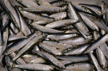 Beyaz ördekler yemek için hazır.