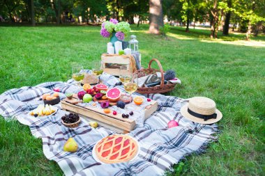 Beyaz şarap ve yaz meyve yeşil çimenlerin üzerinde piknik arka plan