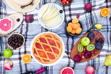 Beyaz şarap ve yaz meyve yeşil çimenlerin üzerinde piknik arka plan