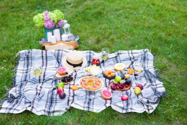 Beyaz şarap ve yaz meyve yeşil çimenlerin üzerinde piknik arka plan