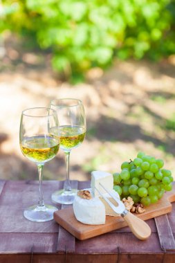 İki şarap, üzüm, fındık, üzüm bağı üzerinde peynir gözlük. Akşam yemeği, Öğle Yemeği, romantik tarih, piknik, doğa üzerinde yemek.