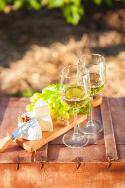 İki şarap, üzüm, fındık, üzüm bağı üzerinde peynir gözlük. Akşam yemeği, Öğle Yemeği, romantik tarih, piknik, doğa üzerinde yemek.