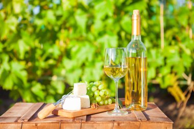 Cam şarap, üzüm, fındık, üzüm bağı üzerinde peynir. Akşam yemeği, Öğle Yemeği, romantik tarih, piknik, doğa üzerinde yemek.