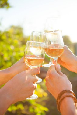 Beyaz şarap Bahçe piknik içinde toasting ile eller. Arkadaşlar mutluluk kavramı yemek yemekten zevk.