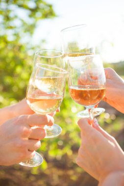 Beyaz şarap Bahçe piknik içinde toasting ile eller. Arkadaşlar mutluluk kavramı yemek yemekten zevk.