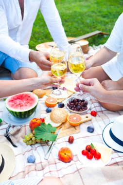 Yaz piknik sepeti İtalyan bahçede yeşil çimenlerin üzerinde. Yiyecek ve içecek konsepti. Arkadaşlar parti zamanı