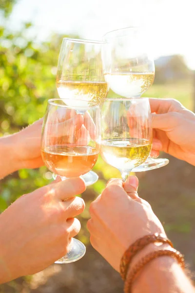 Hands with white wine toasting in garden picnic. Friends Happiness Enjoying Dinner Eating Concept.