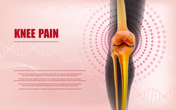 Knee pain relief Bones the of knee