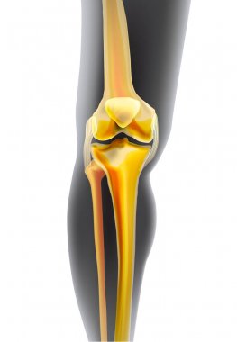 Işık gerçekçi sarı kemikler diz